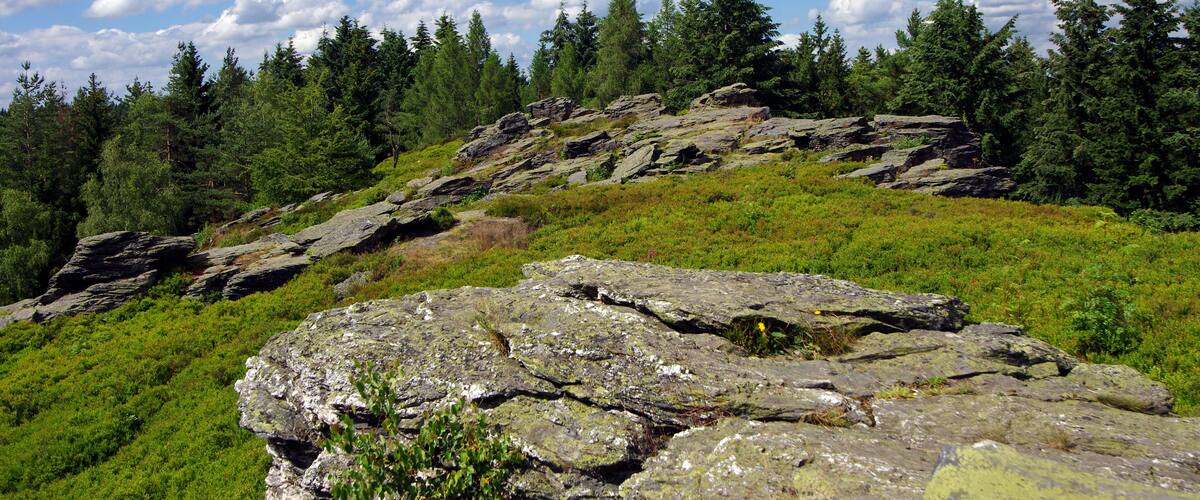 Přírodní památka Vysoký kámen, okres Sokolov