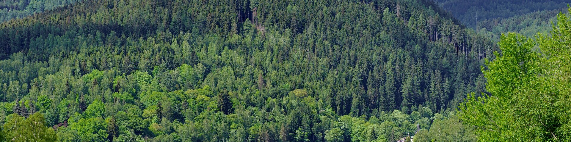 Vrch Hradiště (715 m) a Zelená hora (713 m) nad Kraslicemi, Krušné hory