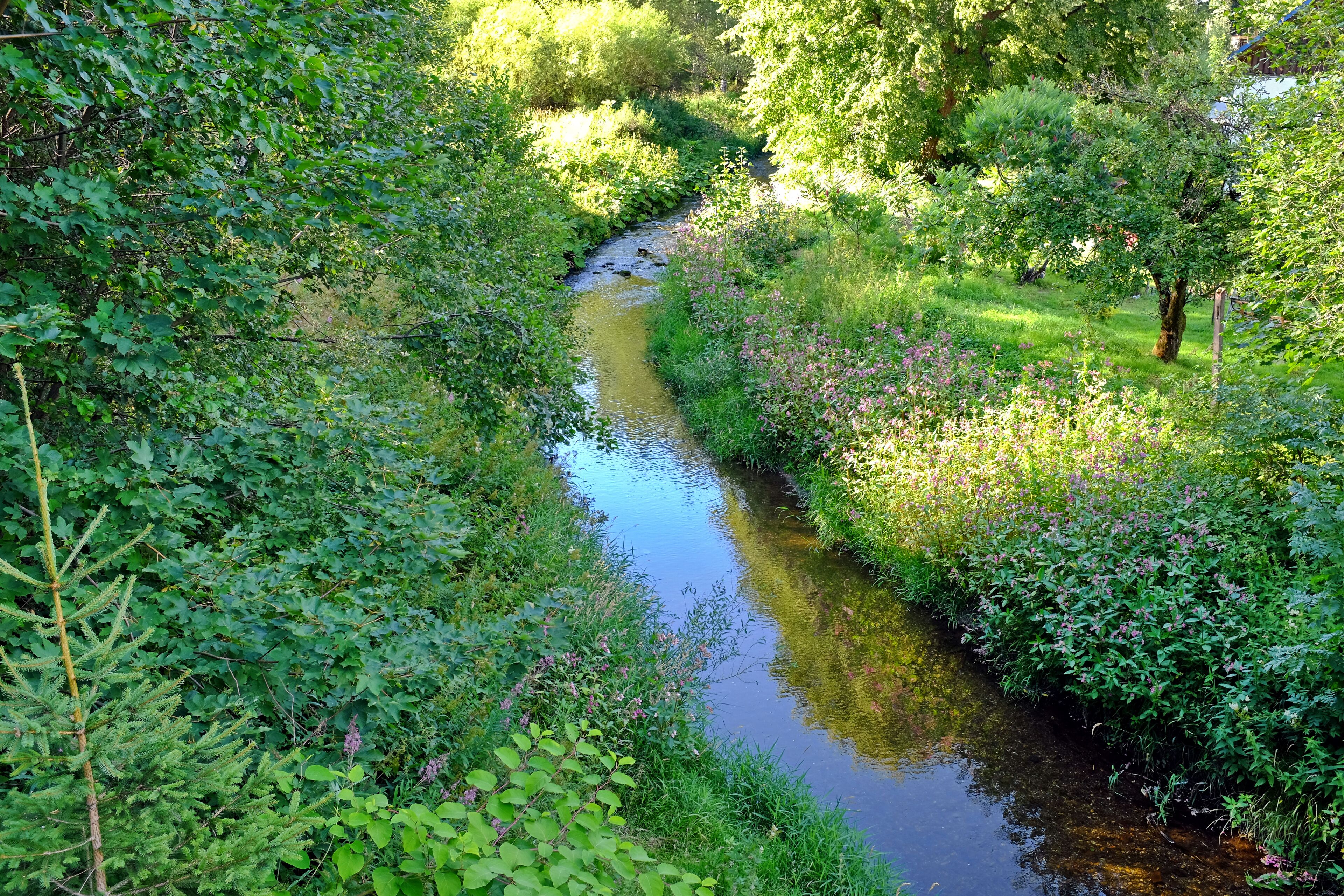 Řeka Svatava v Hraničné, místní části Kraslic, okres Sokolov