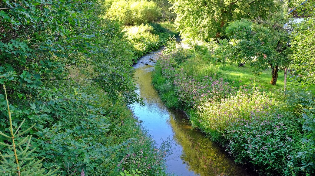 Řeka Svatava v Hraničné, místní části Kraslic, okres Sokolov