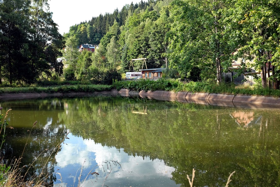 A calm pond surrounded by lush greenery and a house with a swing set.