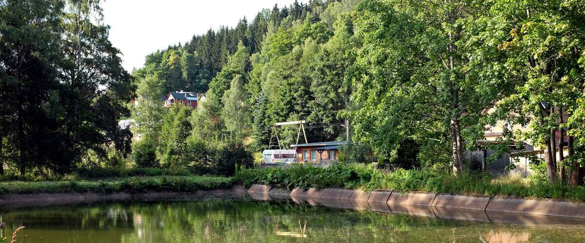 A calm pond surrounded by lush greenery and a house with a swing set.