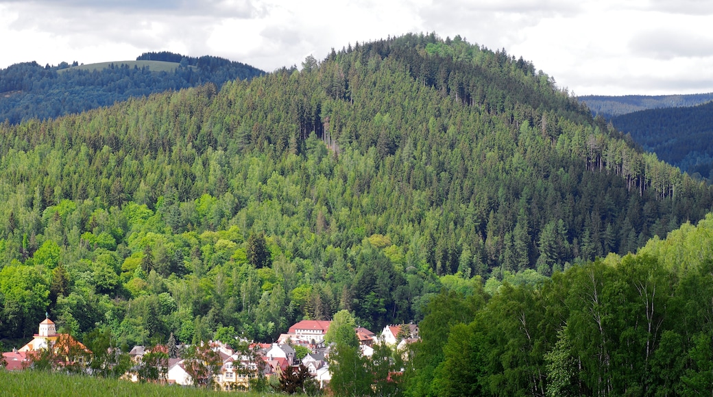 Vrch Hradiště (715 m) nad Kraslicemi, Krušné hory