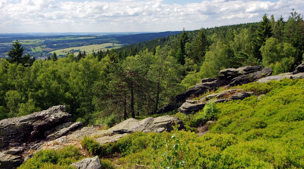 Pลรญrodnรญ pamรกtka Vysokรฝ kรกmen, okres Sokolov