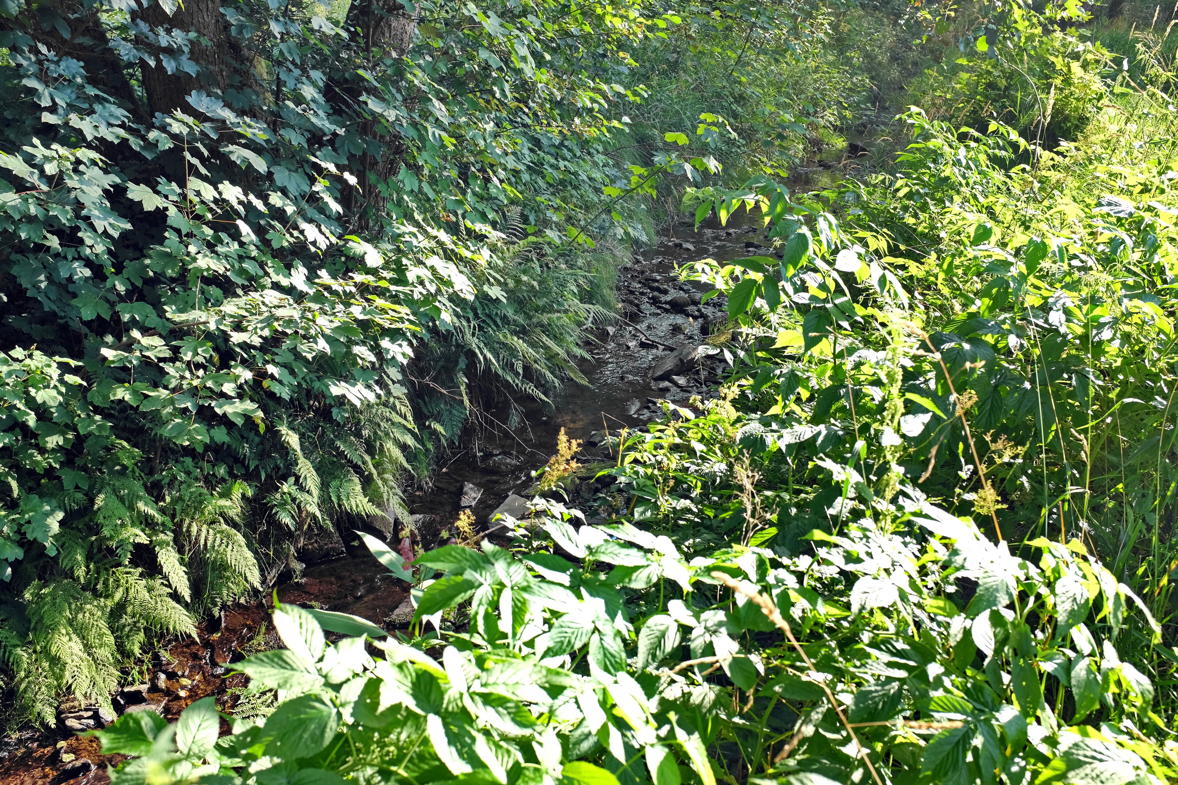 Hraniční potok, přítok Svatavy v zaniklé obci Hraničná, dnes místní část Kraslic, okres Sokolov