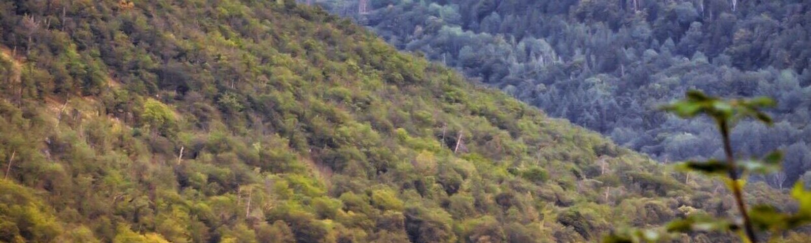 View over Mohelno dam to Dukovany nuclear plant