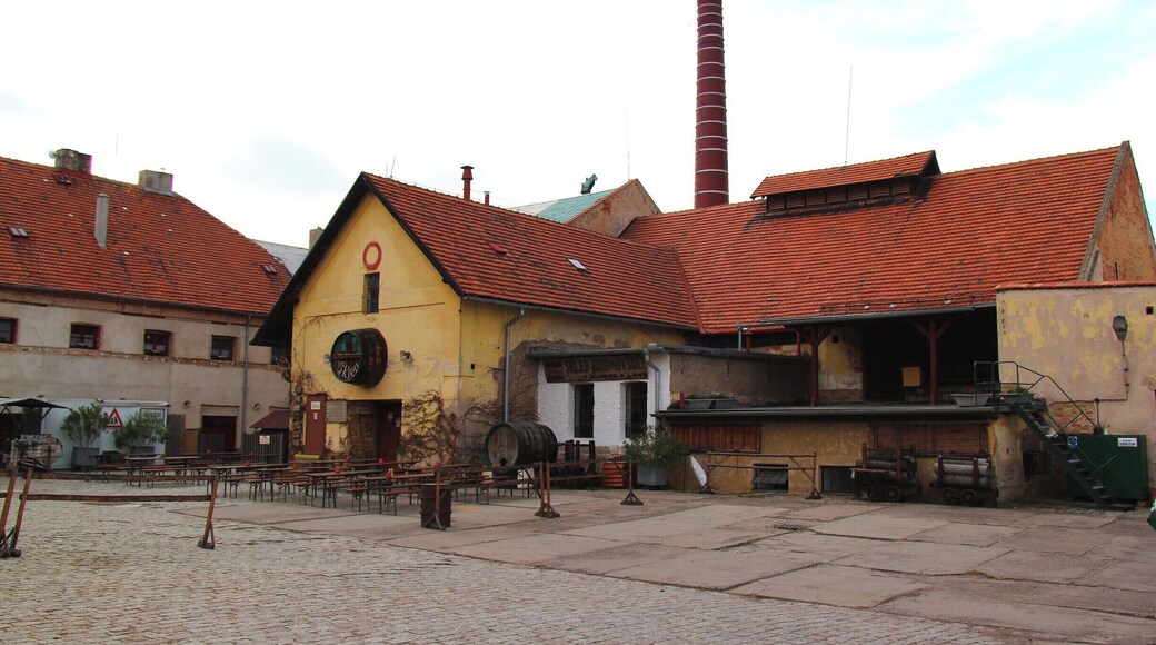 Original Beer brewery near Prague with an excellent kitchen who serve fantastic local menus, a good start if you want to taste the many glasses of Beer to consume afterwards alone or with friends and Family....I can recommend the Black Boar beer !
http://www.pivovarkostelec.cz/en