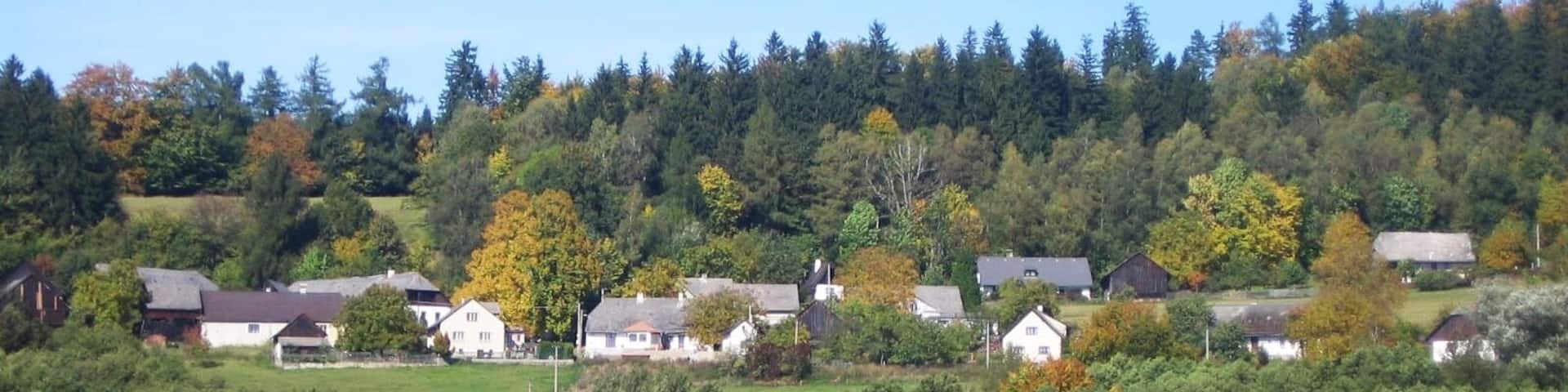 A rural village nestled in a valley with houses surrounded by dense forests and autumn foliage.