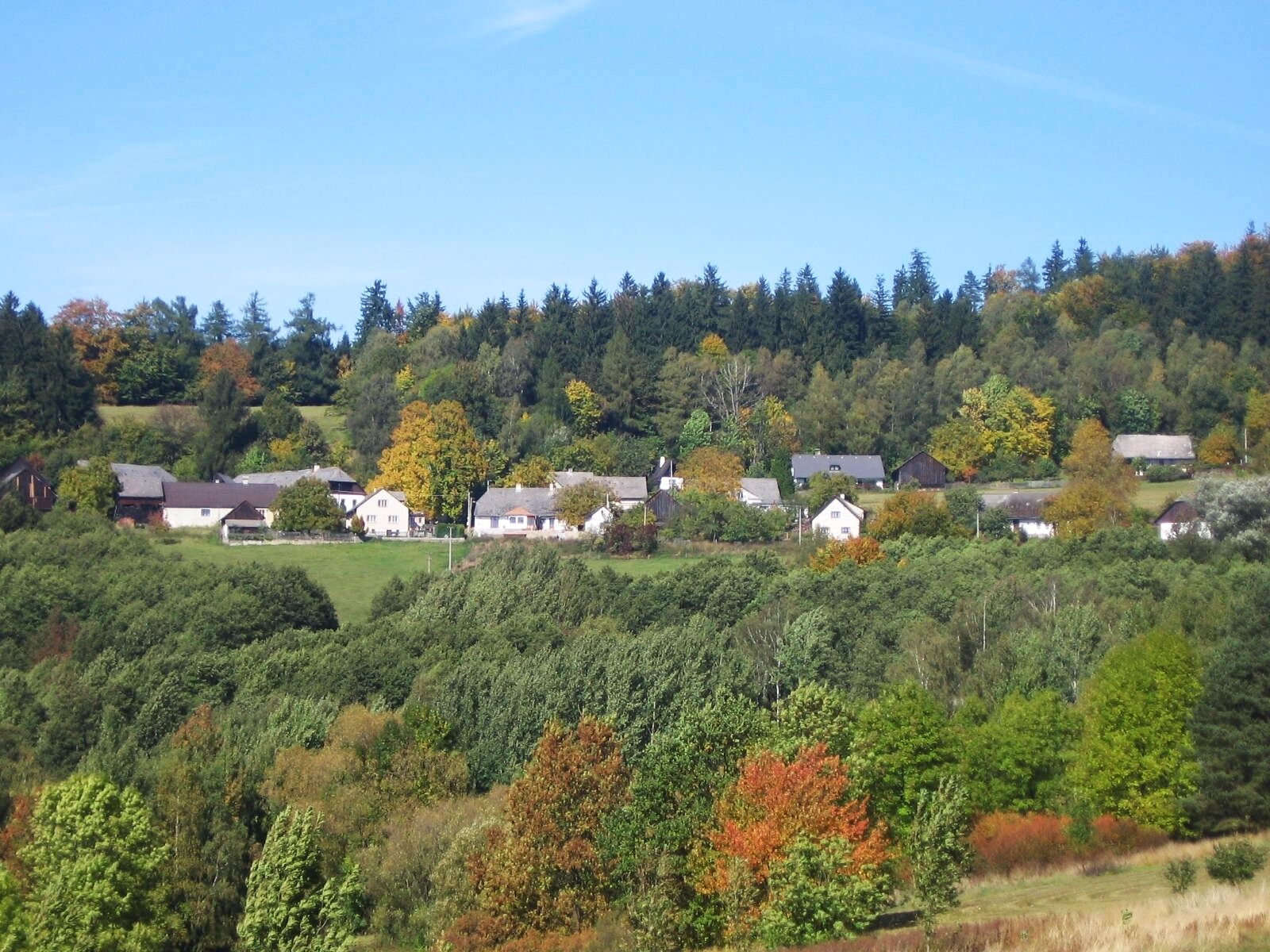 A rural village nestled in a valley with houses surrounded by dense forests and autumn foliage.
