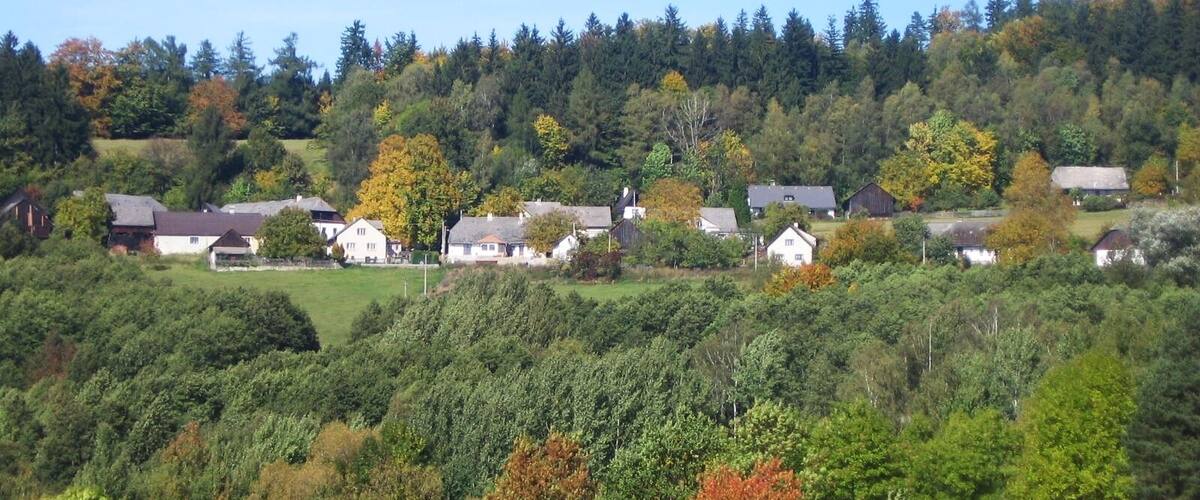 A rural village nestled in a valley with houses surrounded by dense forests and autumn foliage.