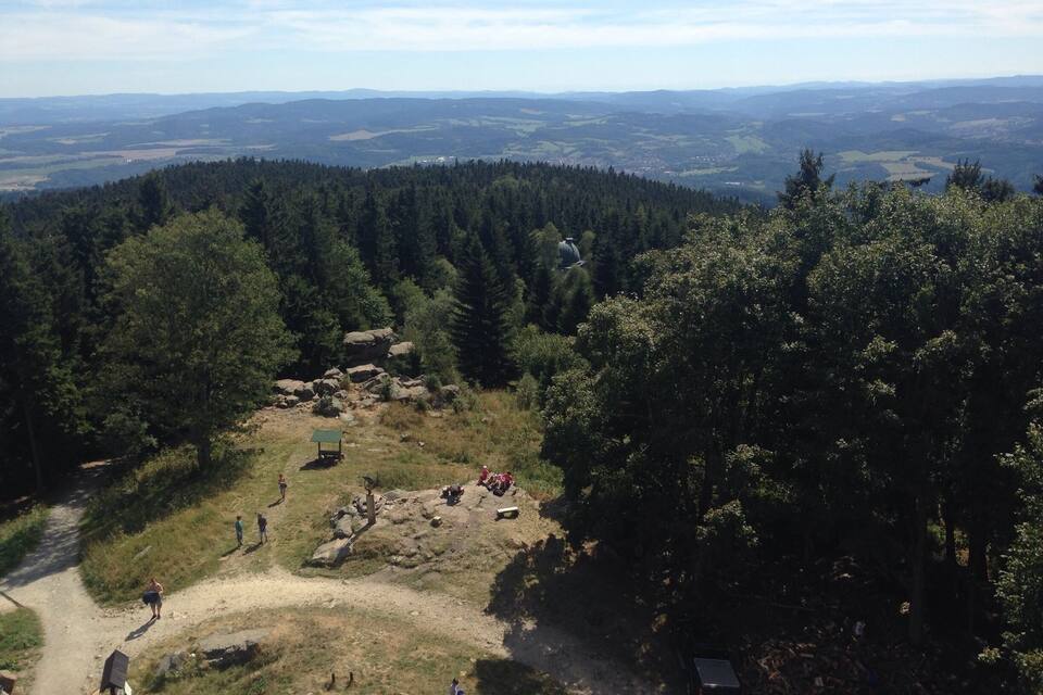 A forested mountain area with a dirt path, rocks, and a small shelter.