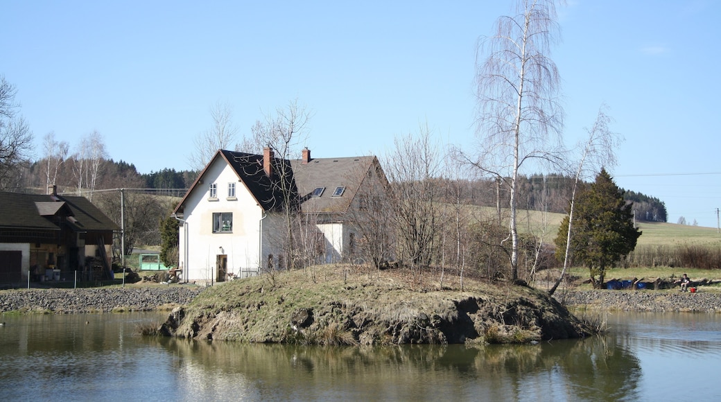 Island at Ostrovní rybník in Nový Jiříkov, Jiříkov, Děčín District.