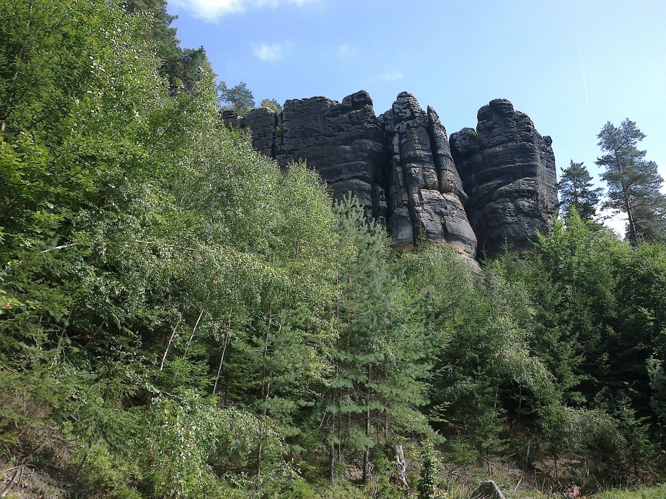 A forested area with prominent rock formations.