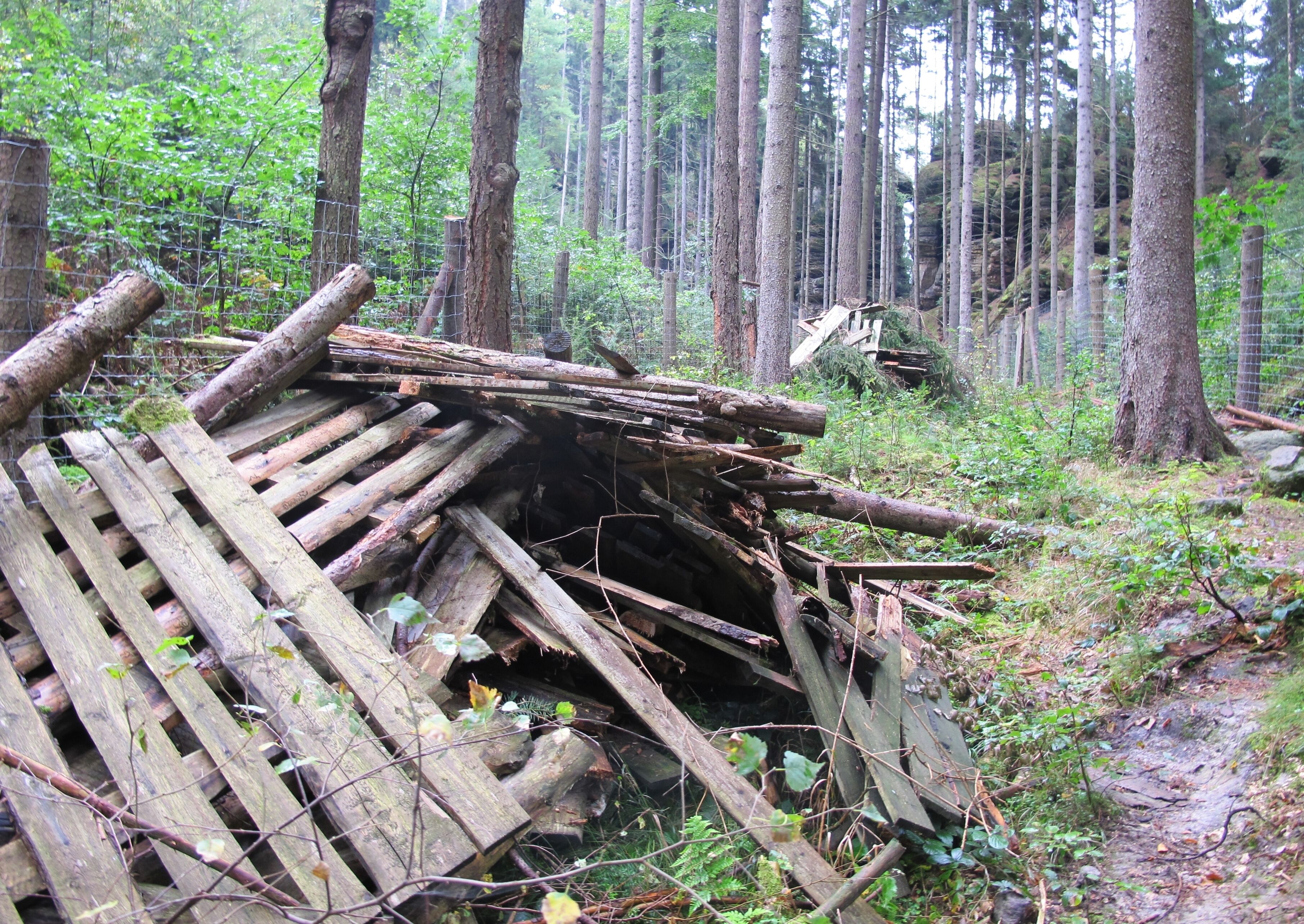 Nature reserve Pavlínino údolí near Jetřichovice-Rynartice, Děčín District in Czech Republic