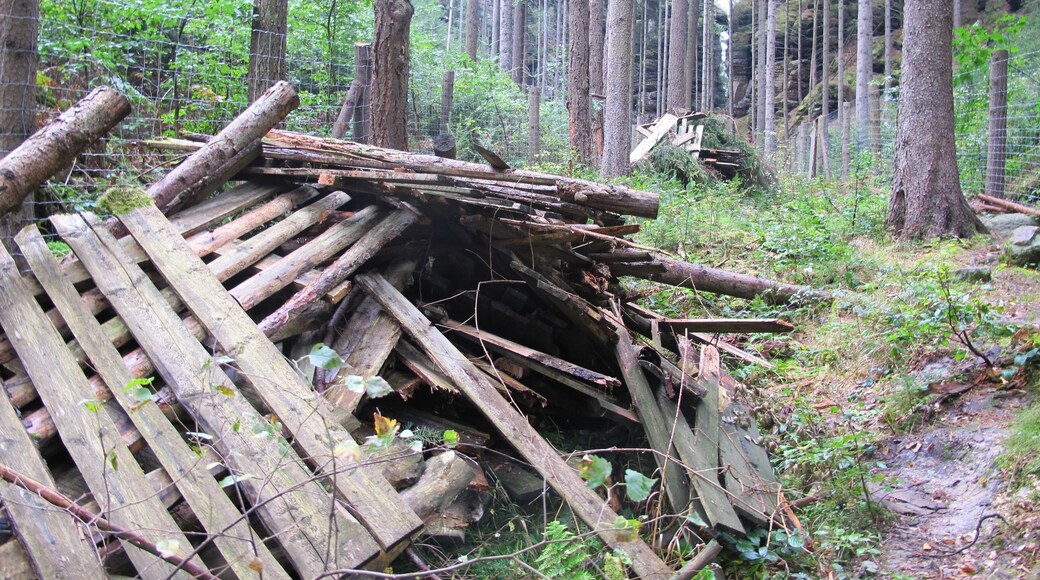 Nature reserve Pavlรญnino รบdolรญ near Jetลichovice-Rynartice, Dฤฤรญn District in Czech Republic