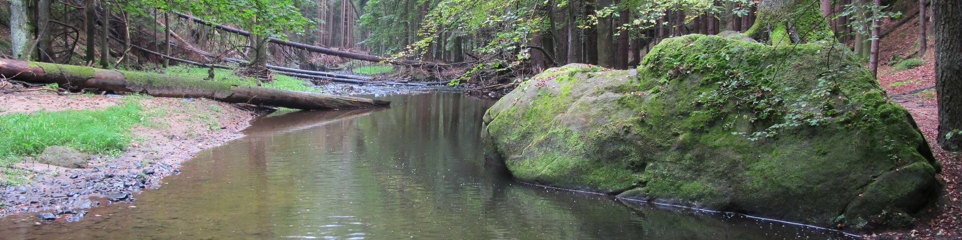 ChĆibskĂĄ Kamenice river in nature reserve PavlĂnino ĂșdolĂ near JetĆichovice-Rynartice, DÄÄĂn District in Czech Republic