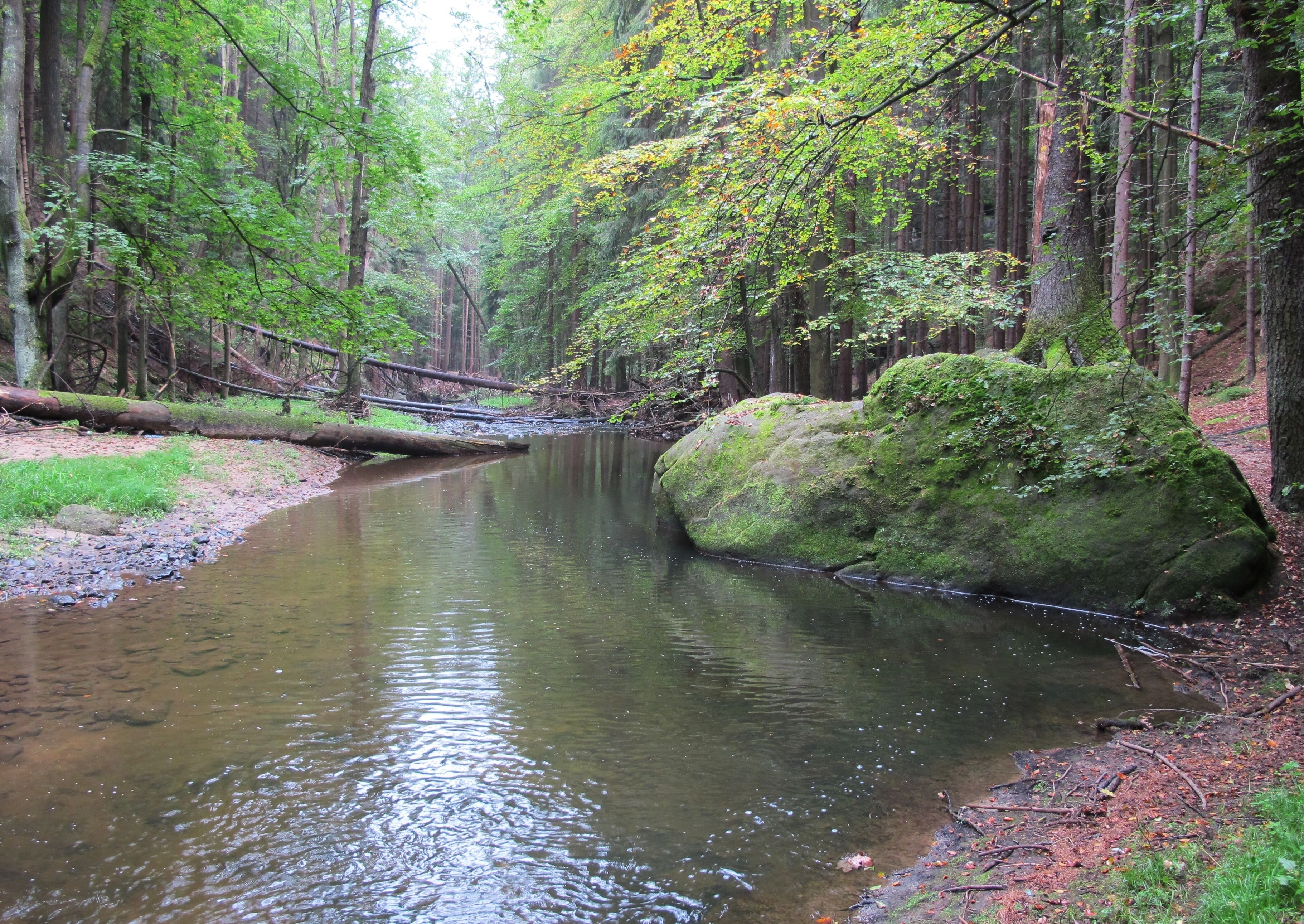 A forest stream with a moss-covered rock and a wooden bridge.