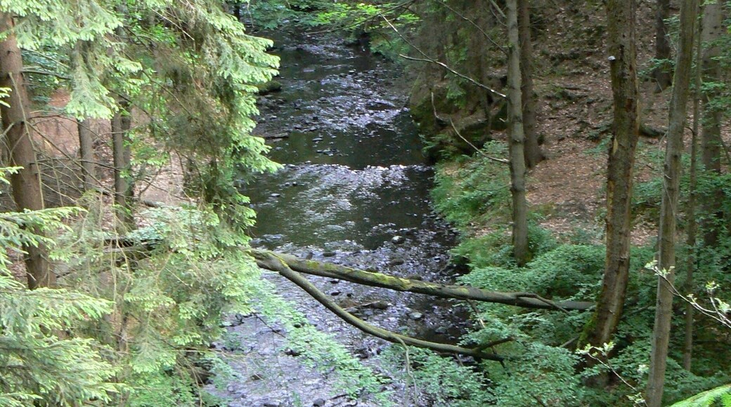 Nature Reserve Pavlino (or Pavlínino) údolí with river Chřibská Kamenice cutted into the Cretaceous sandstones, near Jetřichovice in Děčín District
