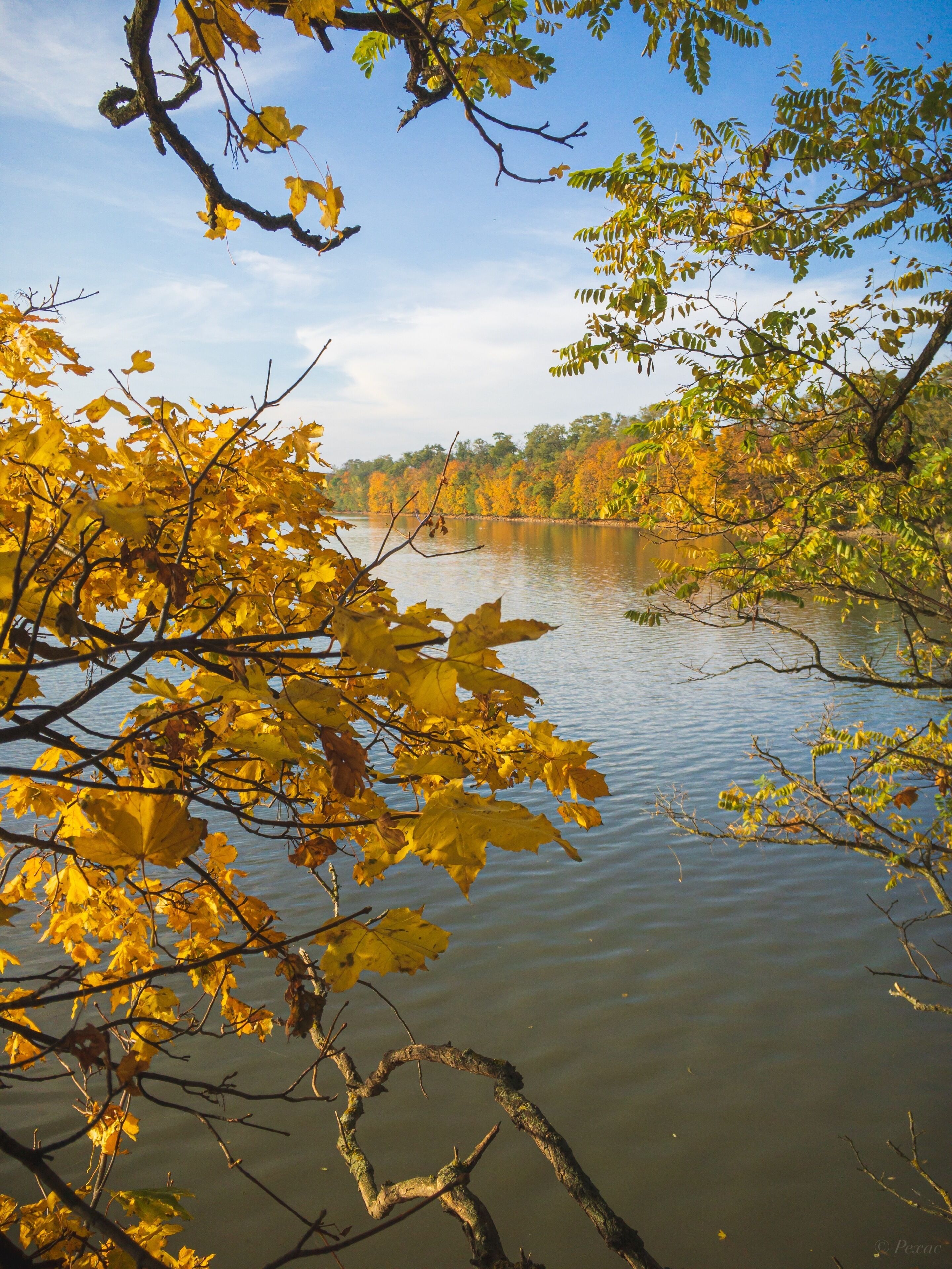 Autumn Jaroslavice pond