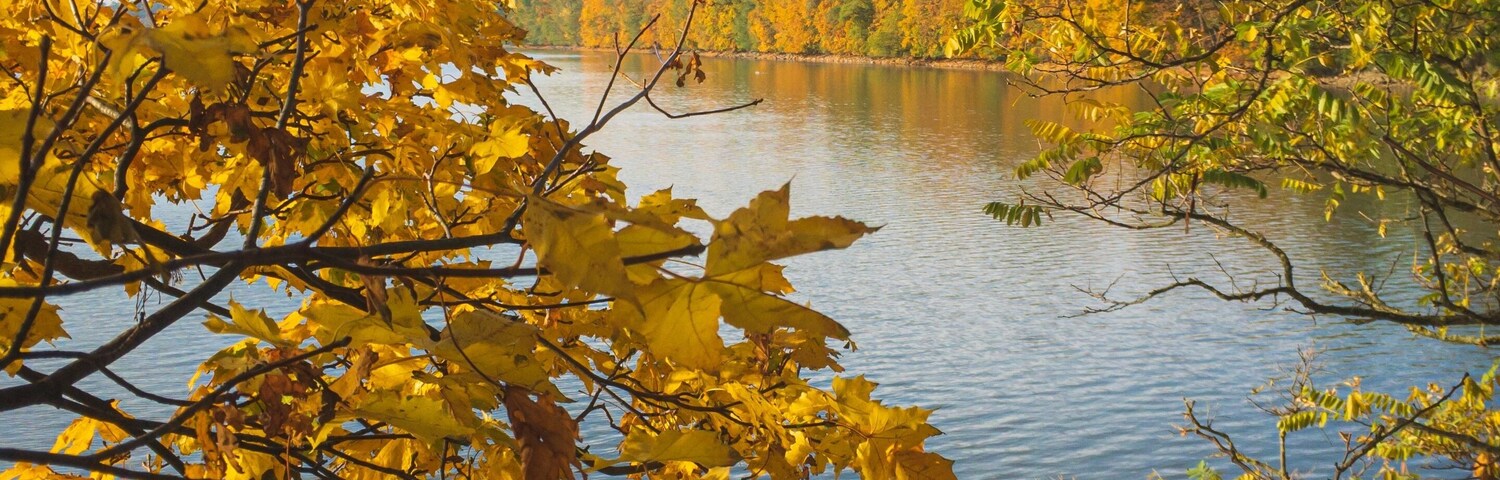 A calm lake surrounded by autumn foliage.