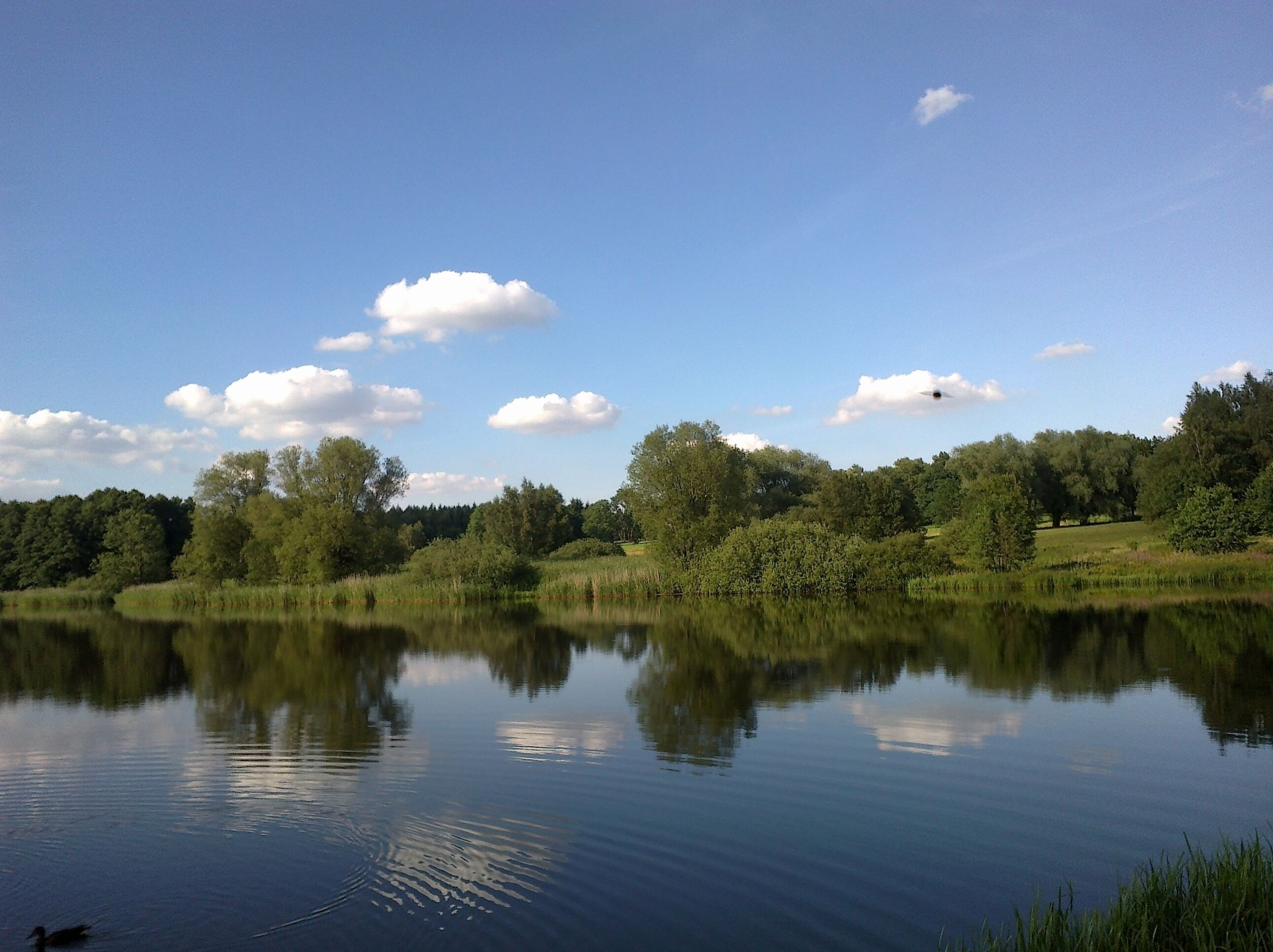 407 57 Horní Podluží, Czech Republic