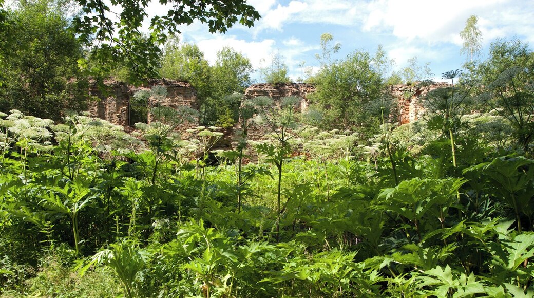 Horní Luby ruiny zámku