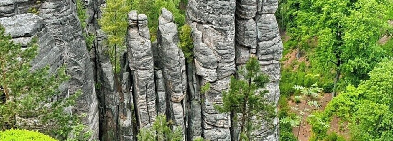 Un paisaje boscoso con formaciones rocosas destacadas.