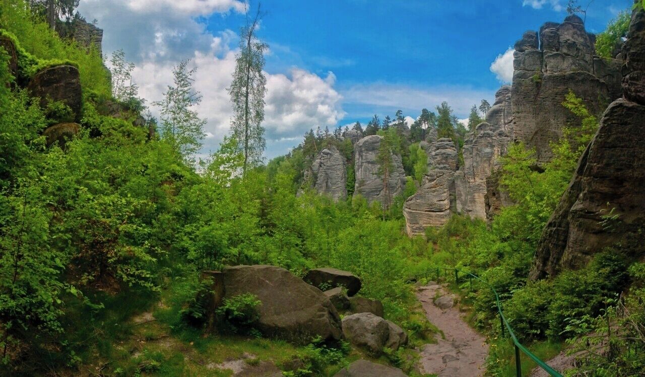 A forested area with a rocky outcrop and a clear sky.