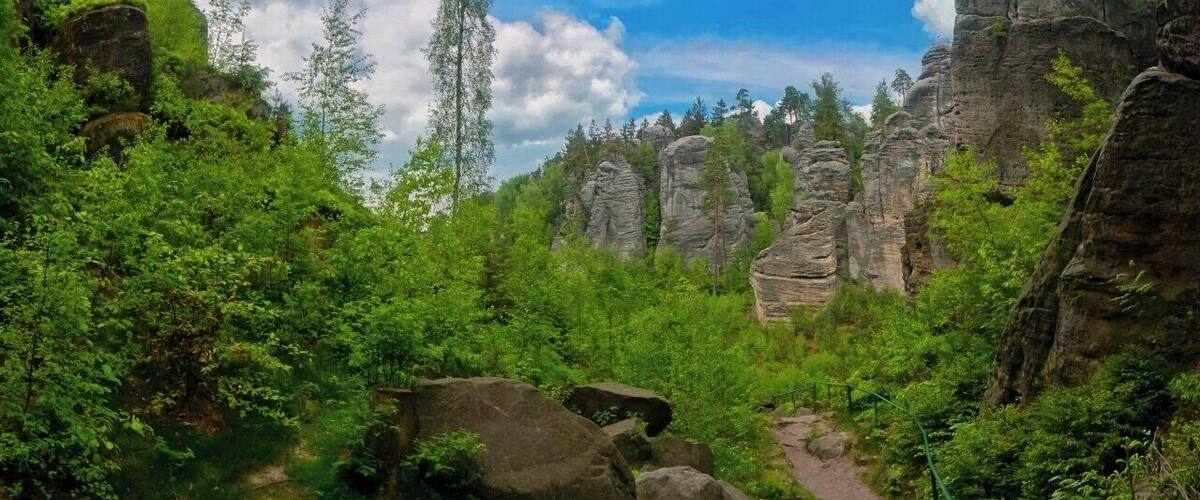 A forested area with a rocky outcrop and a clear sky.