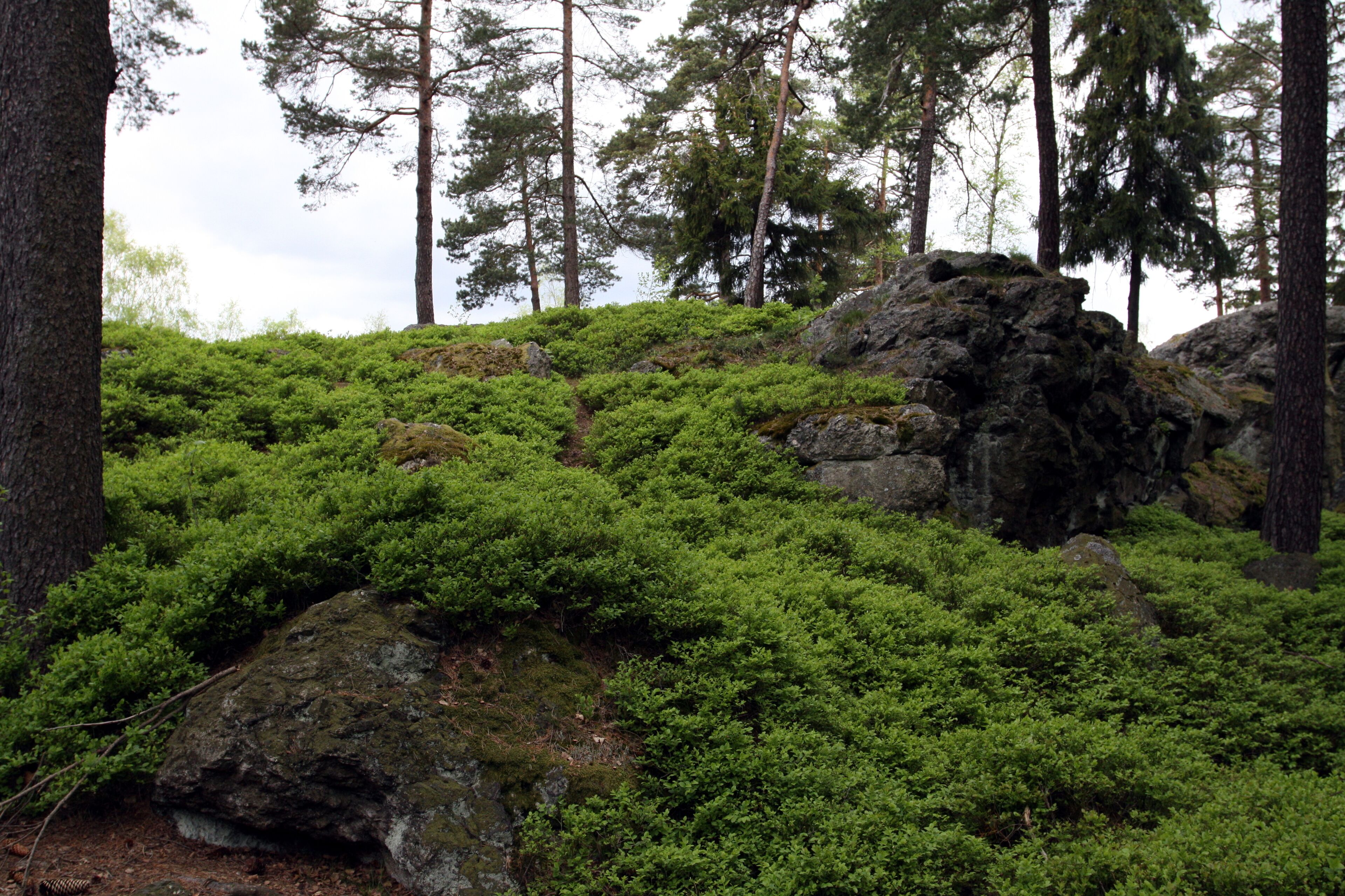 Natural monument Goethova skalka in Cheb District, Czech Republic