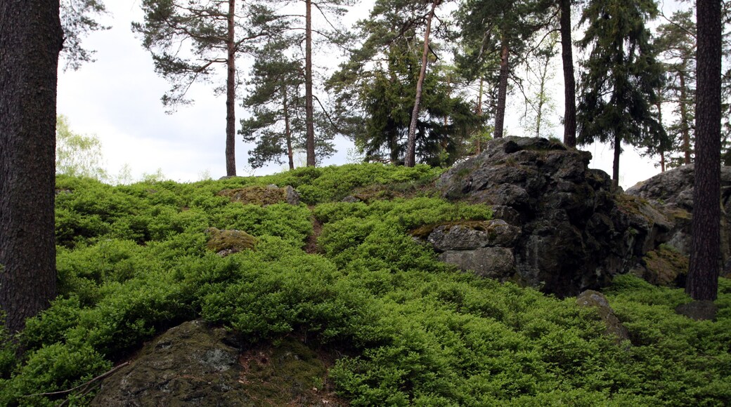 Natural monument Goethova skalka in Cheb District, Czech Republic