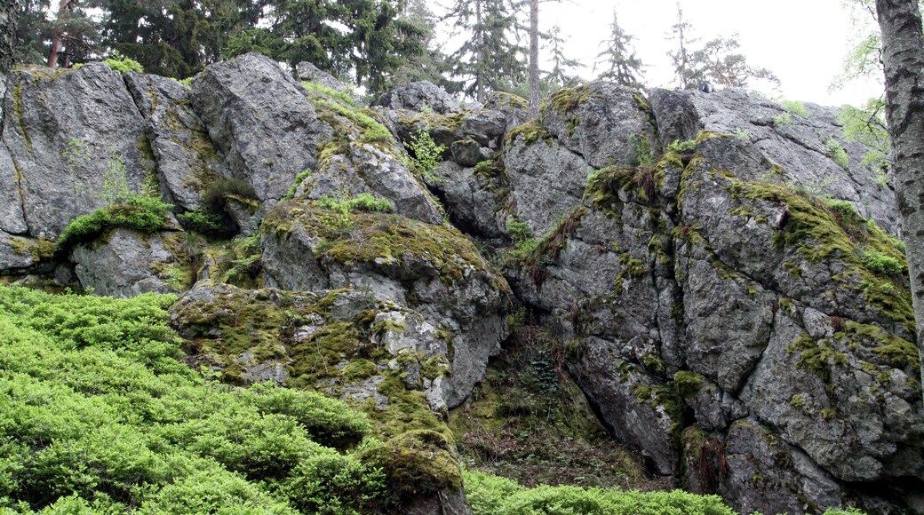 Natural monument Goethova skalka in Cheb District, Czech Republic