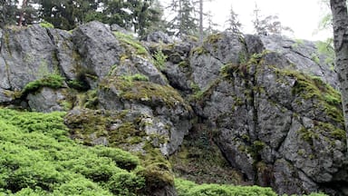 Natural monument Goethova skalka in Cheb District, Czech Republic