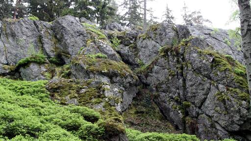 Natural monument Goethova skalka in Cheb District, Czech Republic