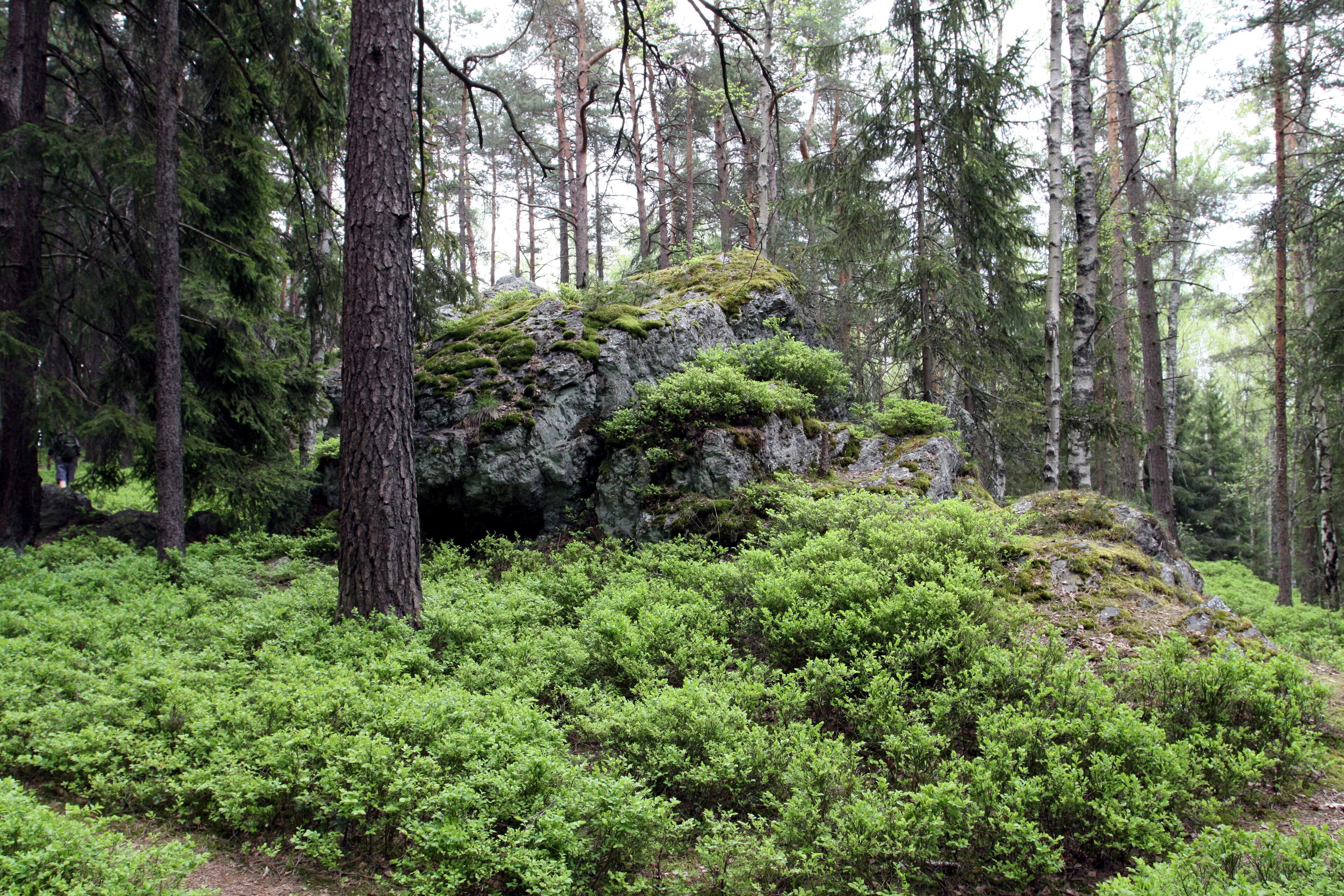 Natural monument Goethova skalka in Cheb District, Czech Republic