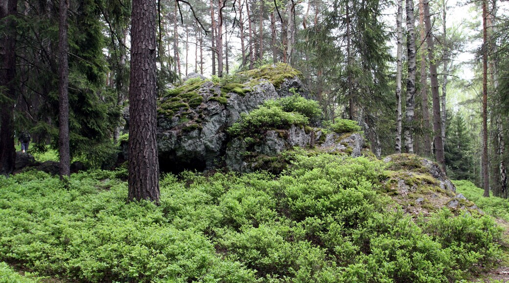 Natural monument Goethova skalka in Cheb District, Czech Republic