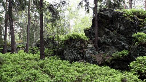 Natural monument Goethova skalka in Cheb District, Czech Republic