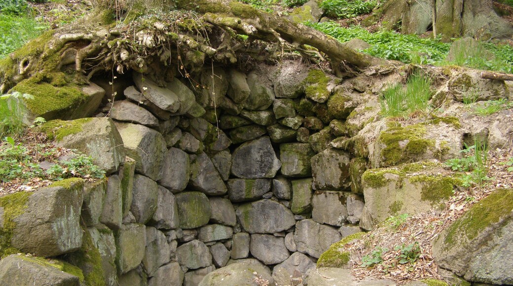 Frýdlantská pahorkatina, Přírodní rezervace Křížový vrch v katastru obce Frýdlant, zříceniny kaple