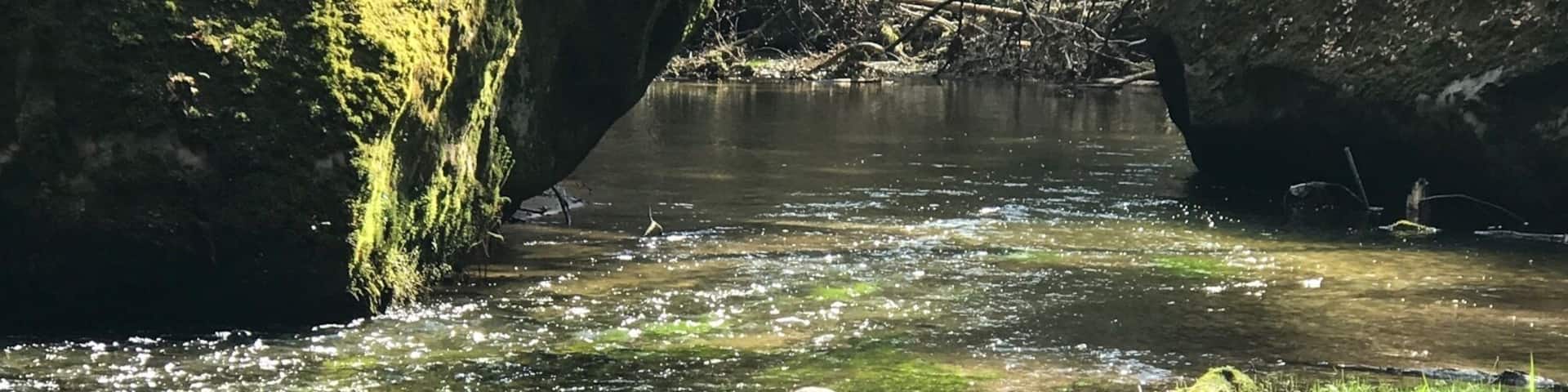 Ein wunderschöner Wanderweg entlang der Kirnitzsch. Glasklares kaltes Wasser