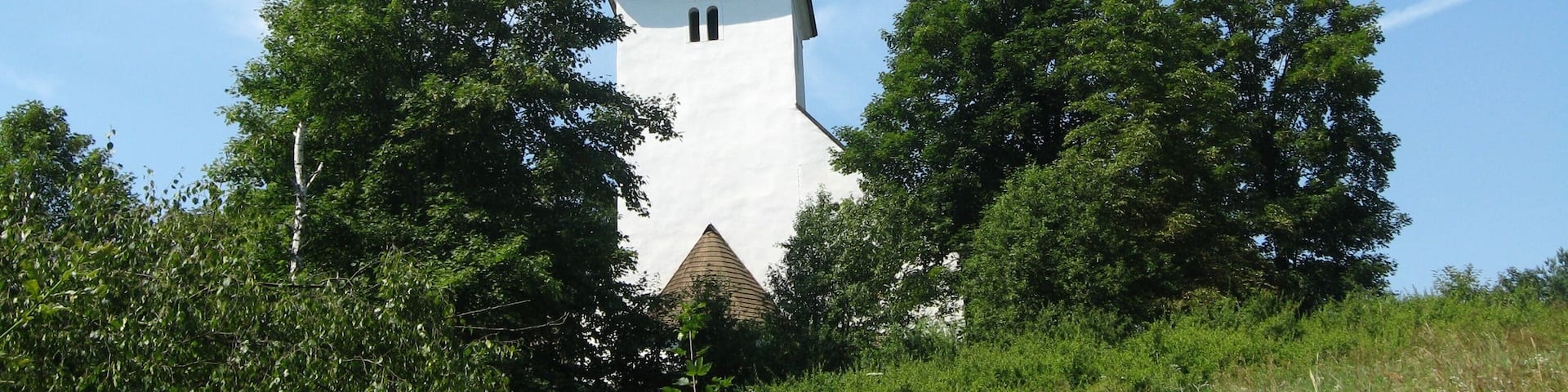 A church with a tall steeple surrounded by trees.