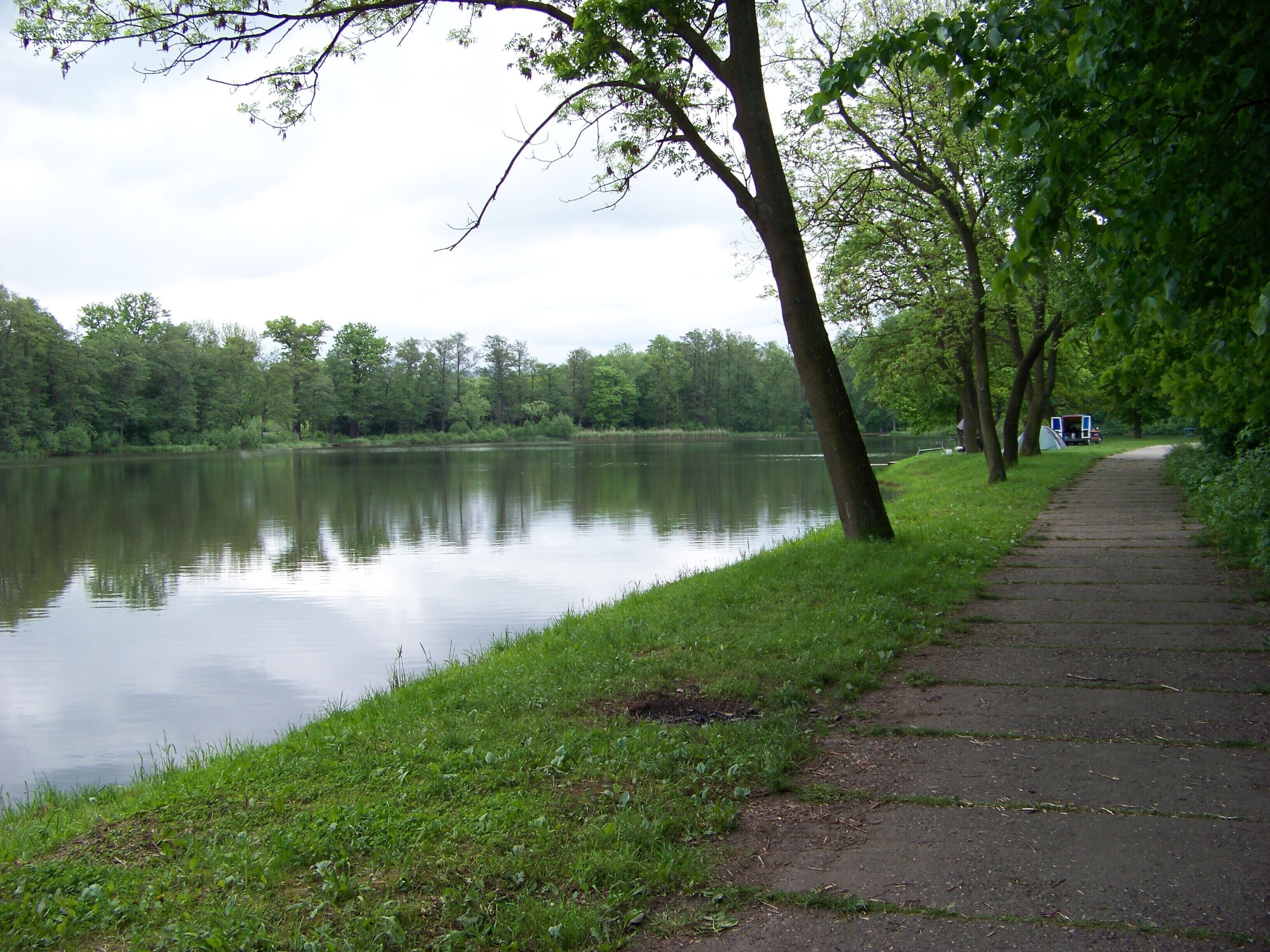 Chlumec, Ústí nad Labem District, Ústí nad Labem Region, Czech Republic. Zámecký pond.