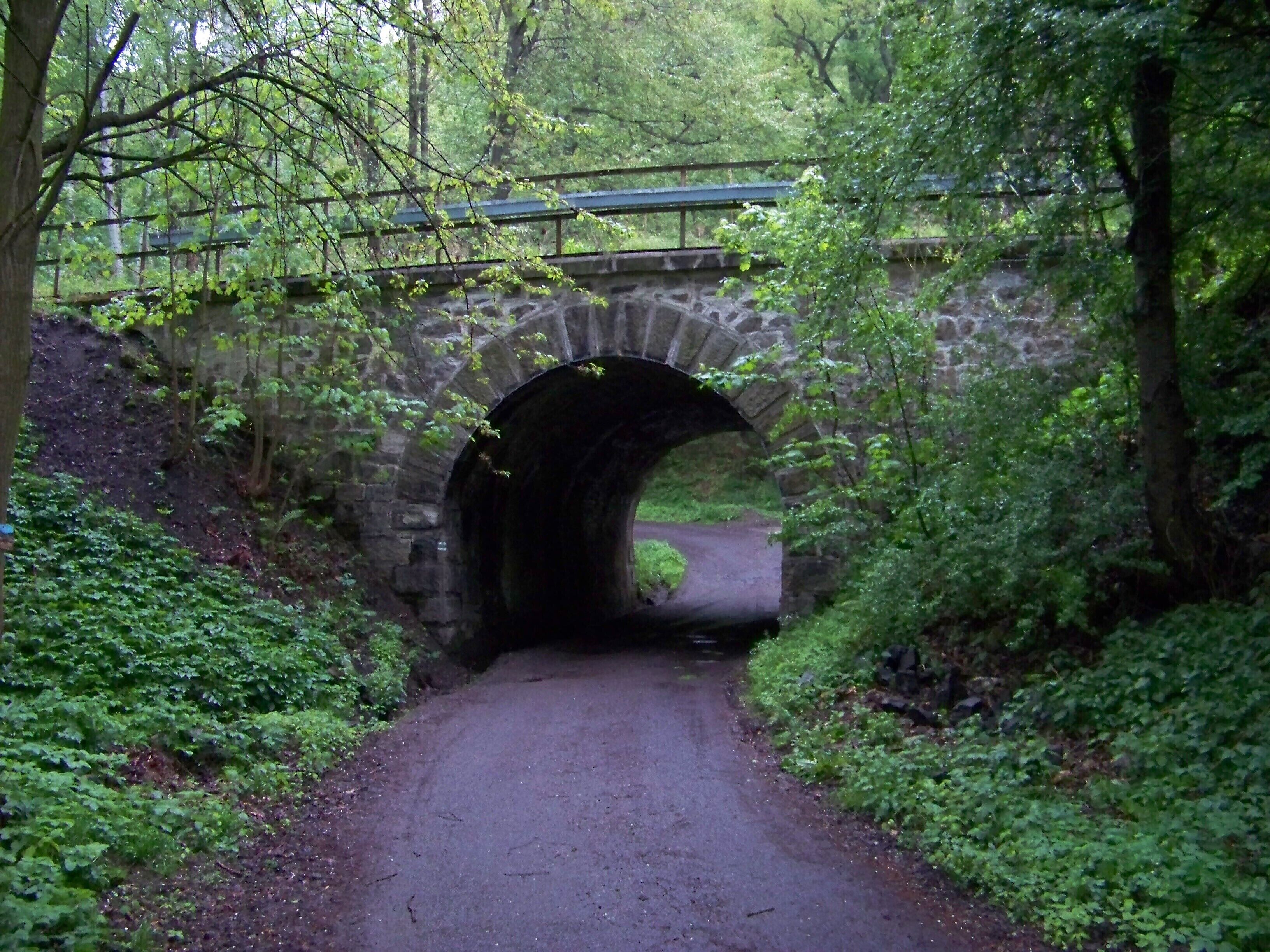 A stone bridge over a narrow road surrounded by lush greenery.
