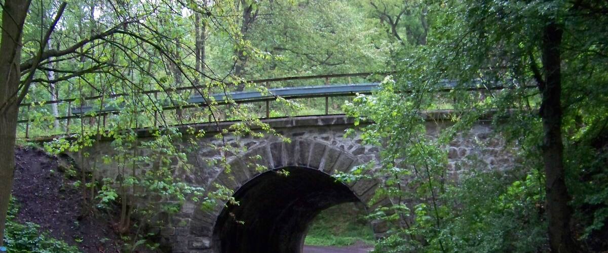 A stone bridge over a narrow road surrounded by lush greenery.