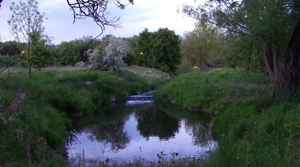 Chlumec, Ústí nad Labem District, Ústí nad Labem Region, Czech Republic. Confluence of Ždírnický and Chlumecký creek, seen from U šmelce street.