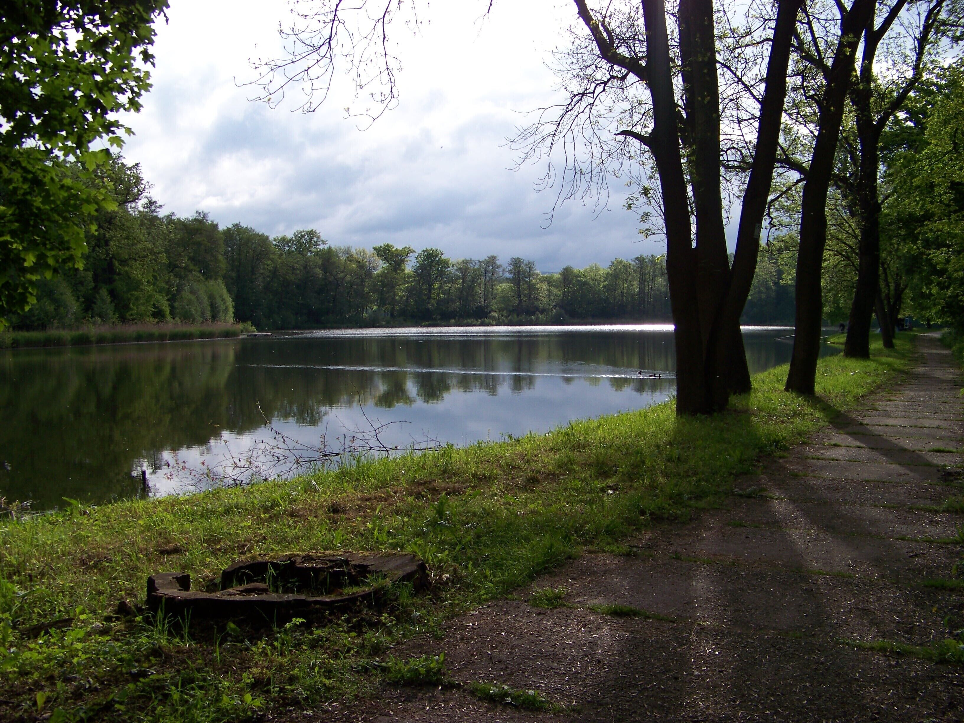 Chlumec, Ústí nad Labem District, Ústí nad Labem Region, Czech Republic. U zámeckého rybníka, Zámecký rybník.