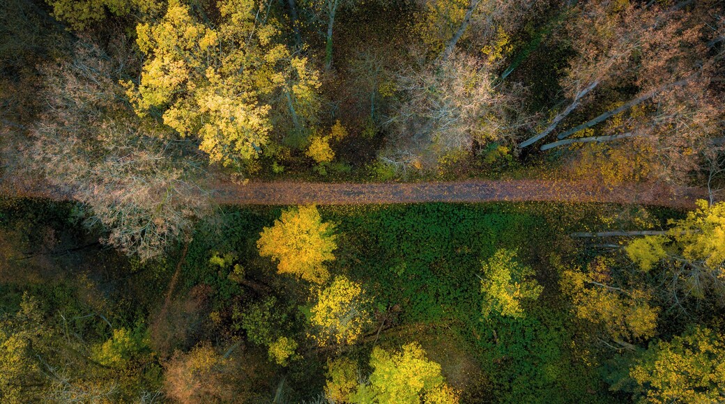 I love the possibility the drone photography gives you. It's true that some of these views are well overused, but I promised to myself that I will try as many approaches to autumn photography I can and here comes another idea with the forgotten forest path.