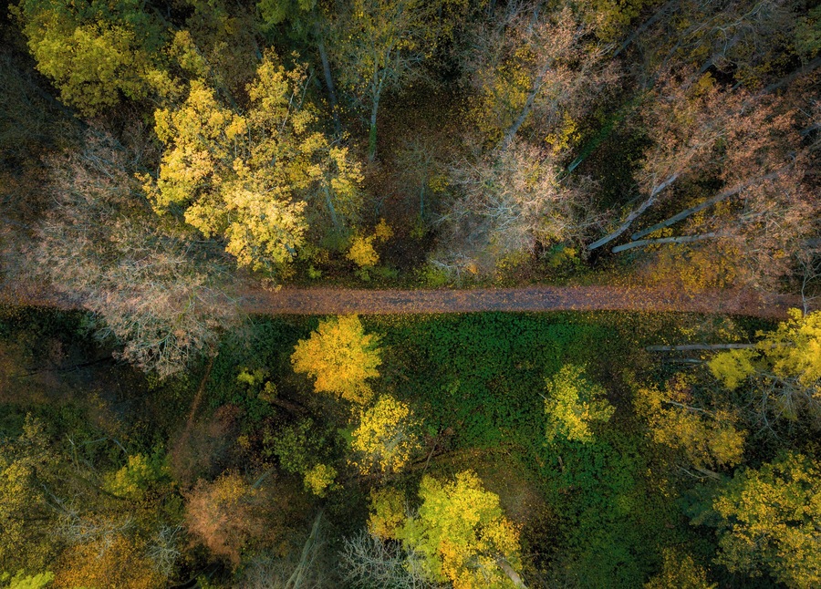 I love the possibility the drone photography gives you. It's true that some of these views are well overused, but I promised to myself that I will try as many approaches to autumn photography I can and here comes another idea with the forgotten forest path.