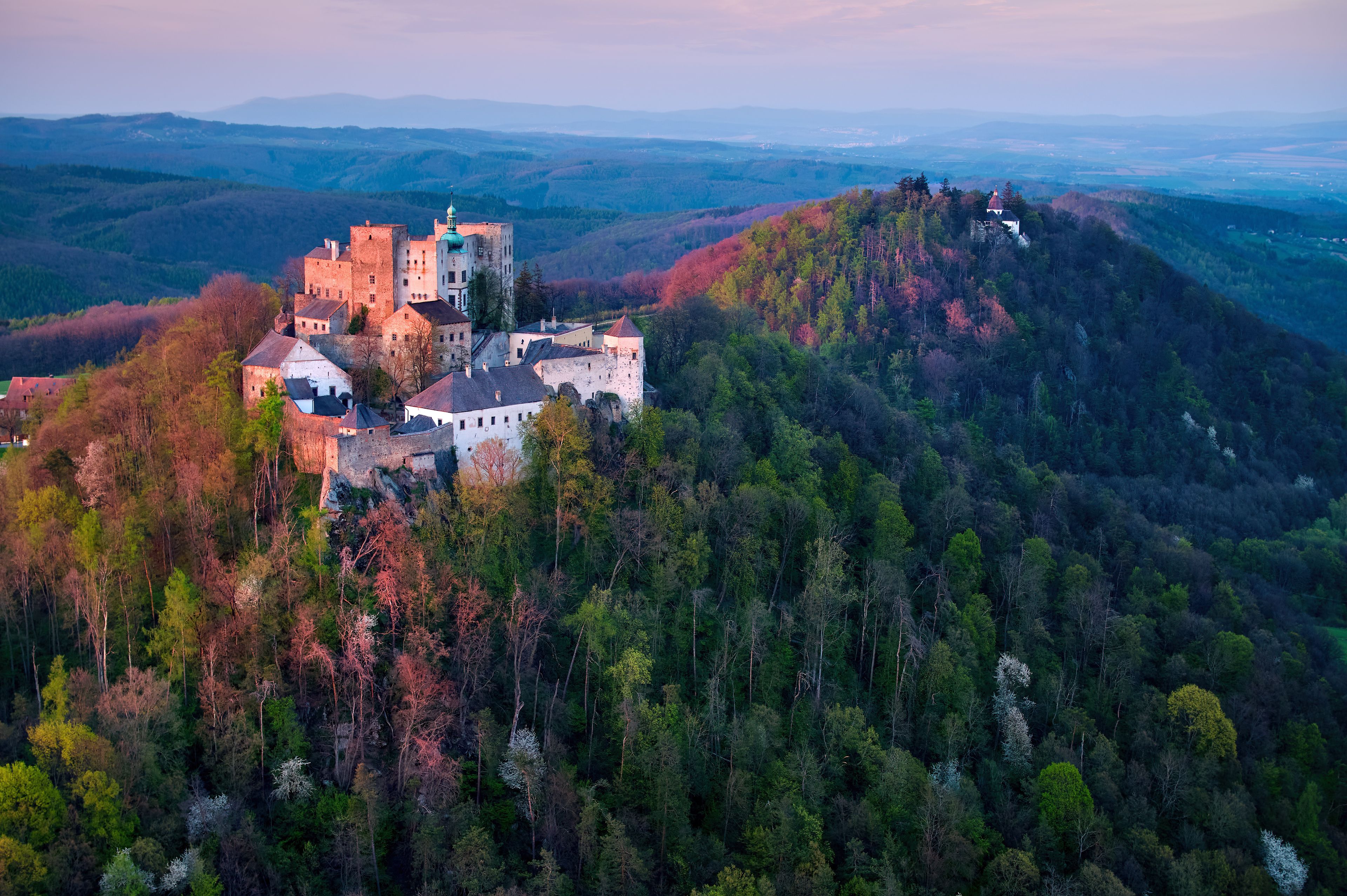 A castle on a hill surrounded by forest.
