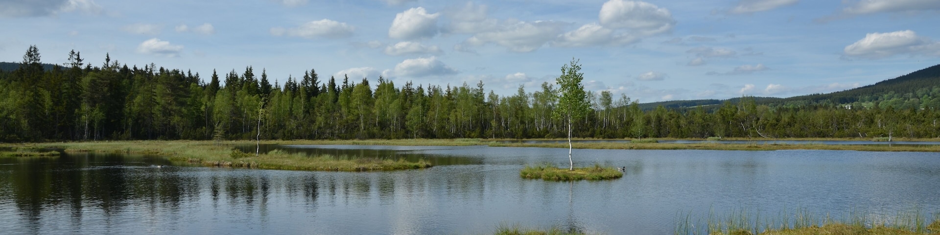 Chalupská slať - jezírko