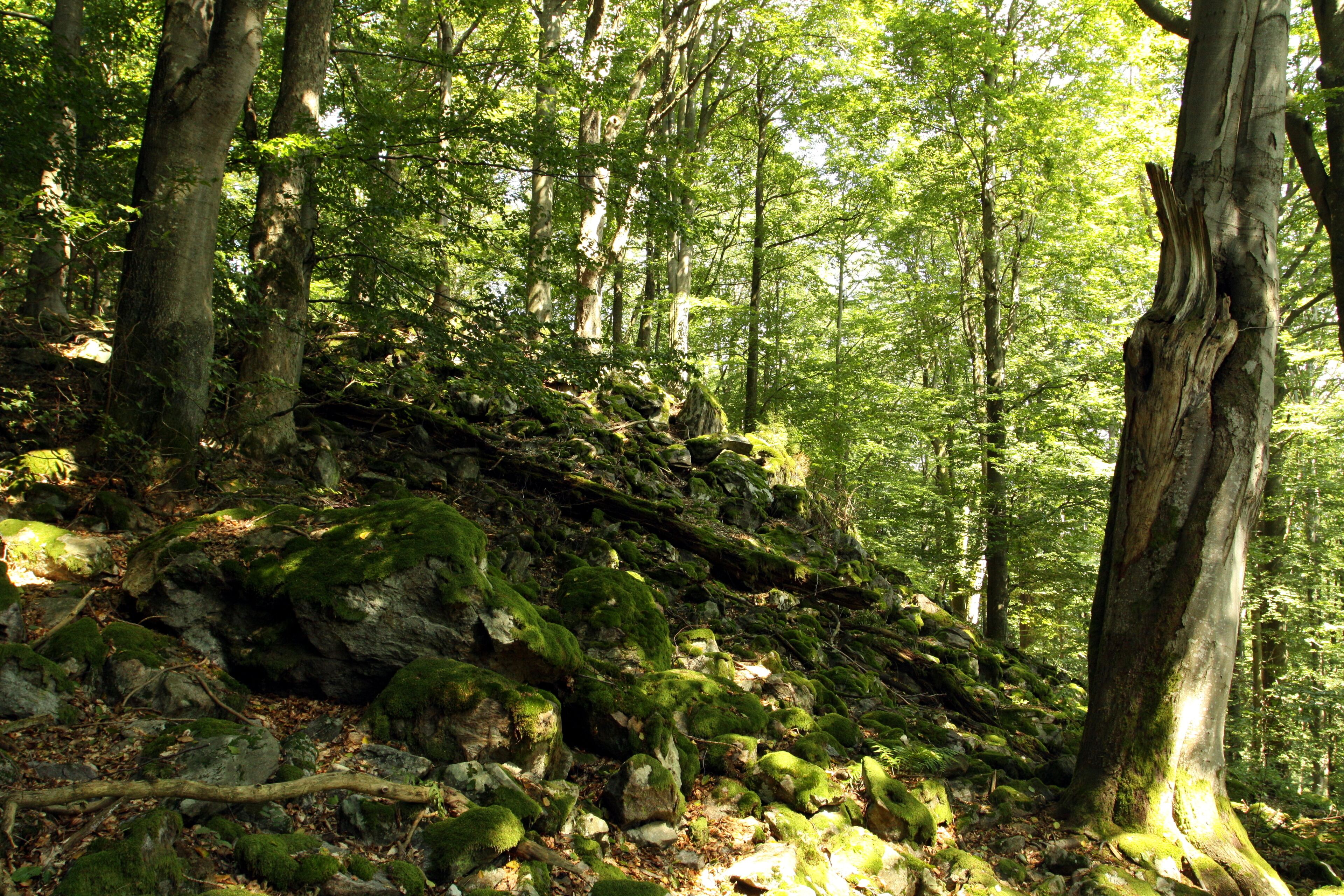 Nature reserce Nad Hutí in Domažlice District, Czech Republic
